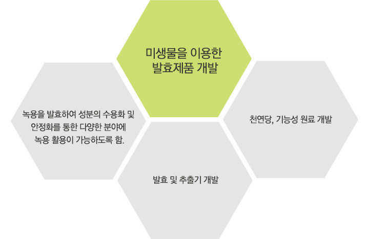 사업분야